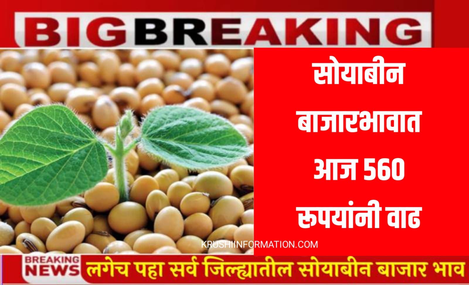 Soybean Rate 26 December
