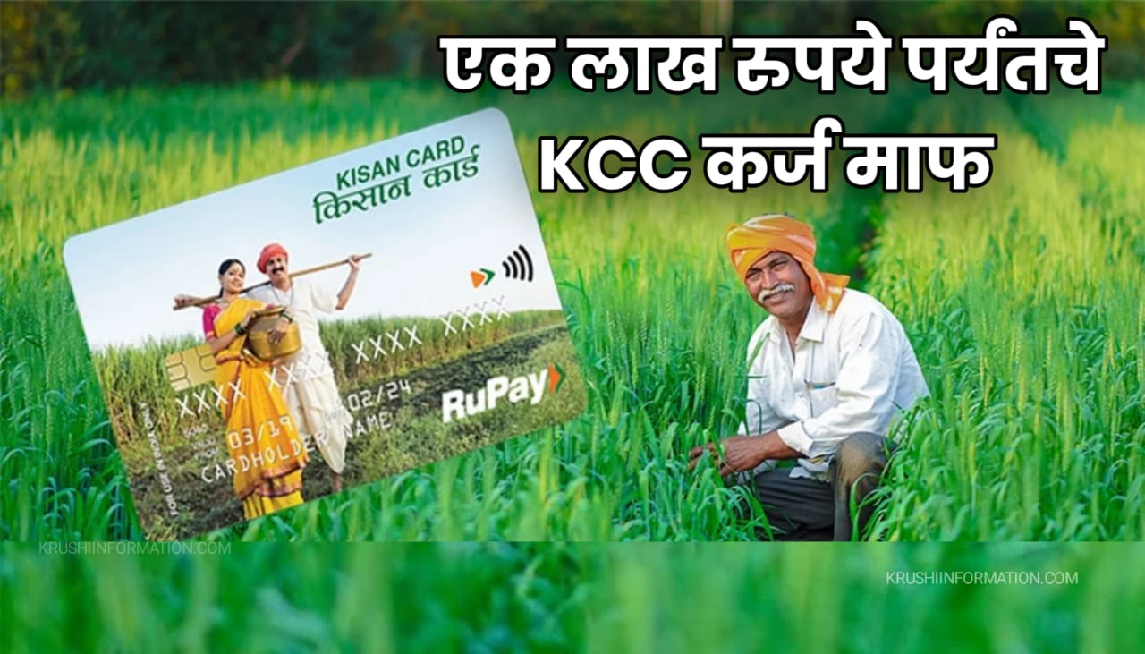 KCC Loans