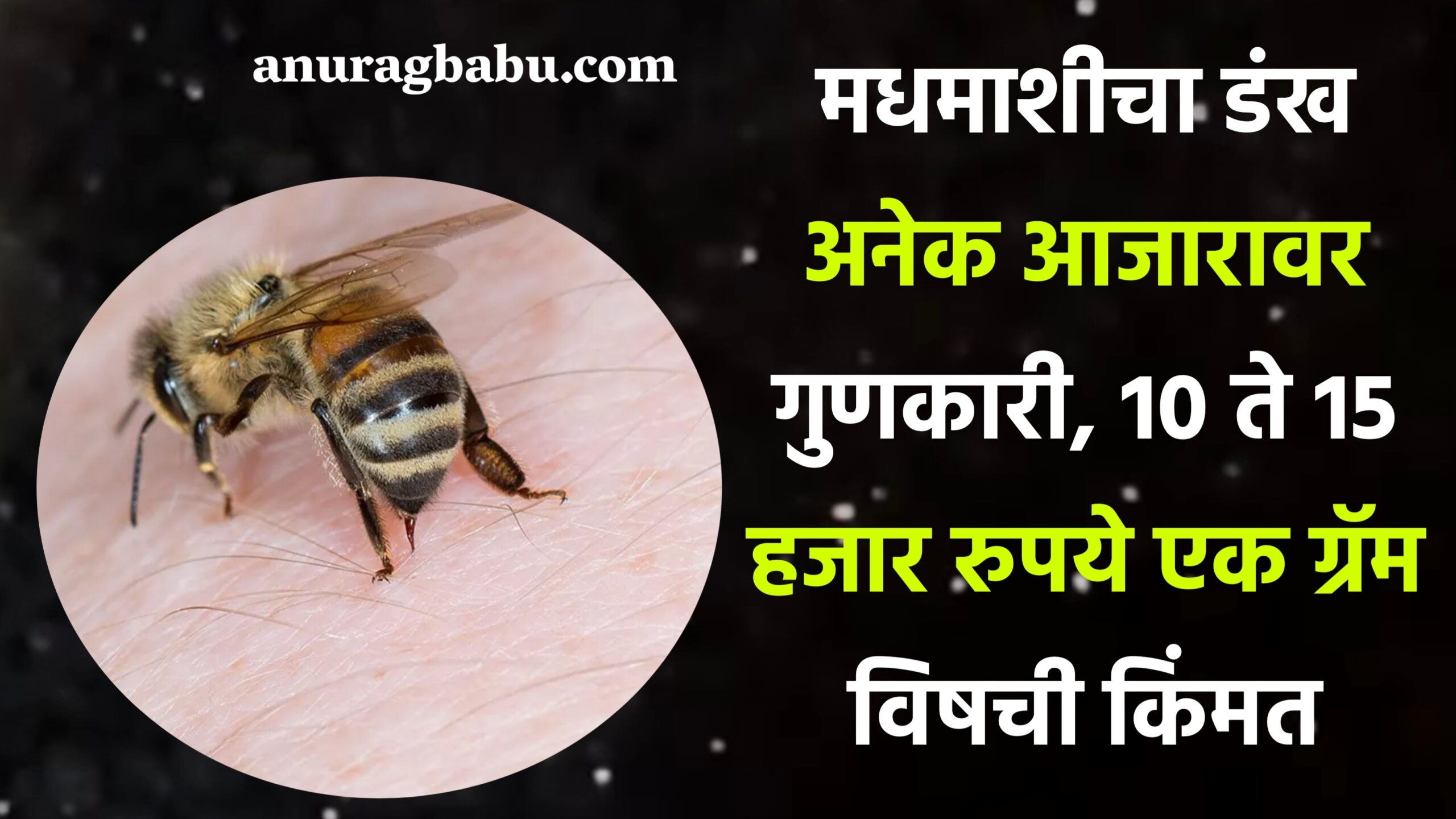Effective against bee sting disease