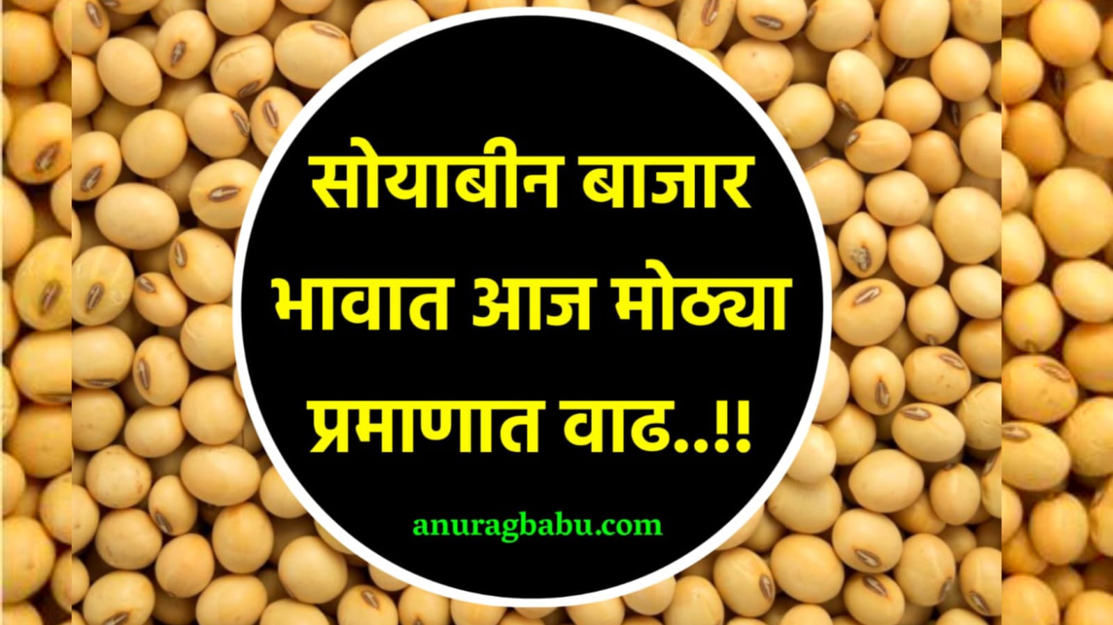 Soybean Rate 1 February