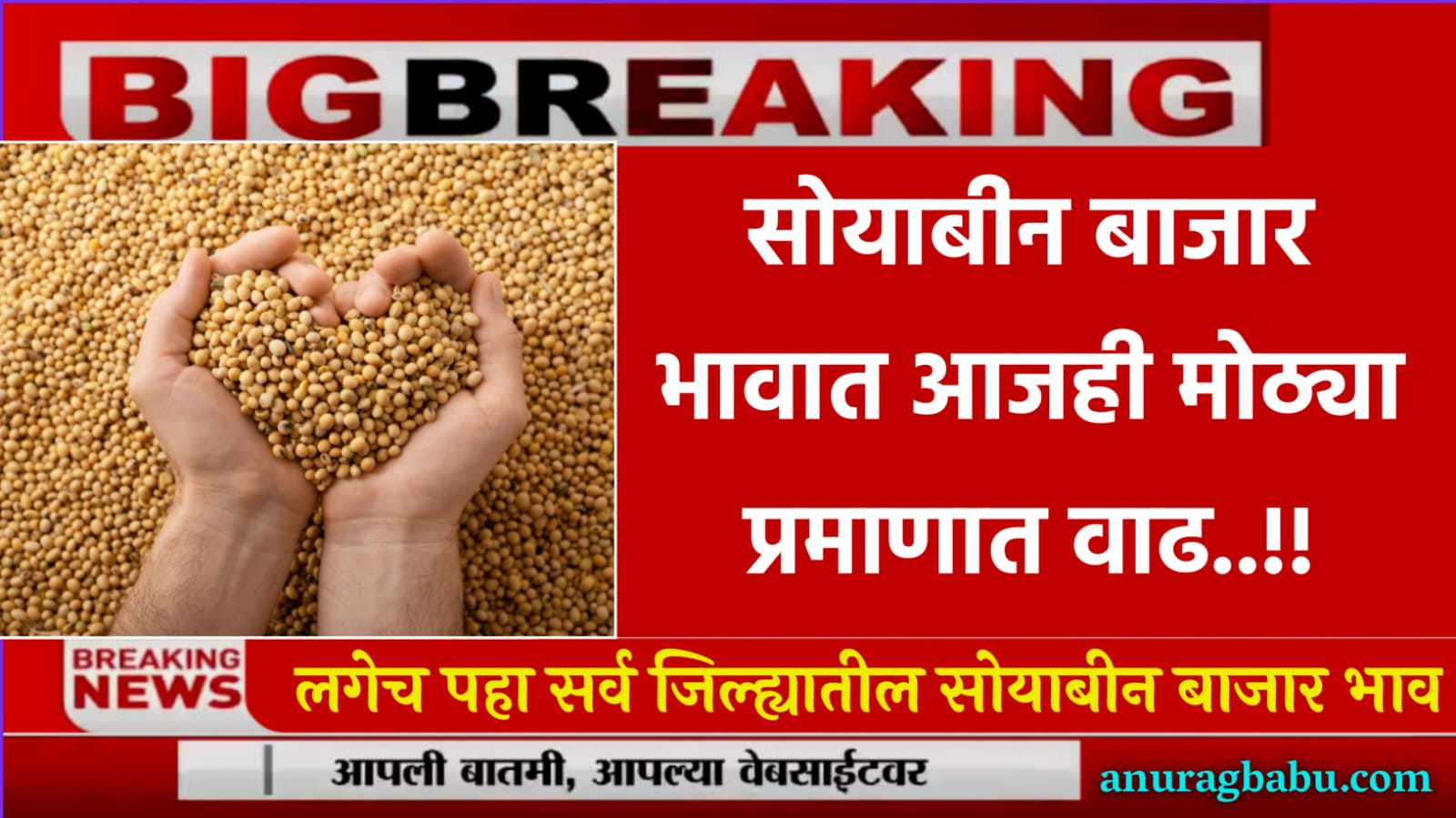 Soybean Rate 5 February