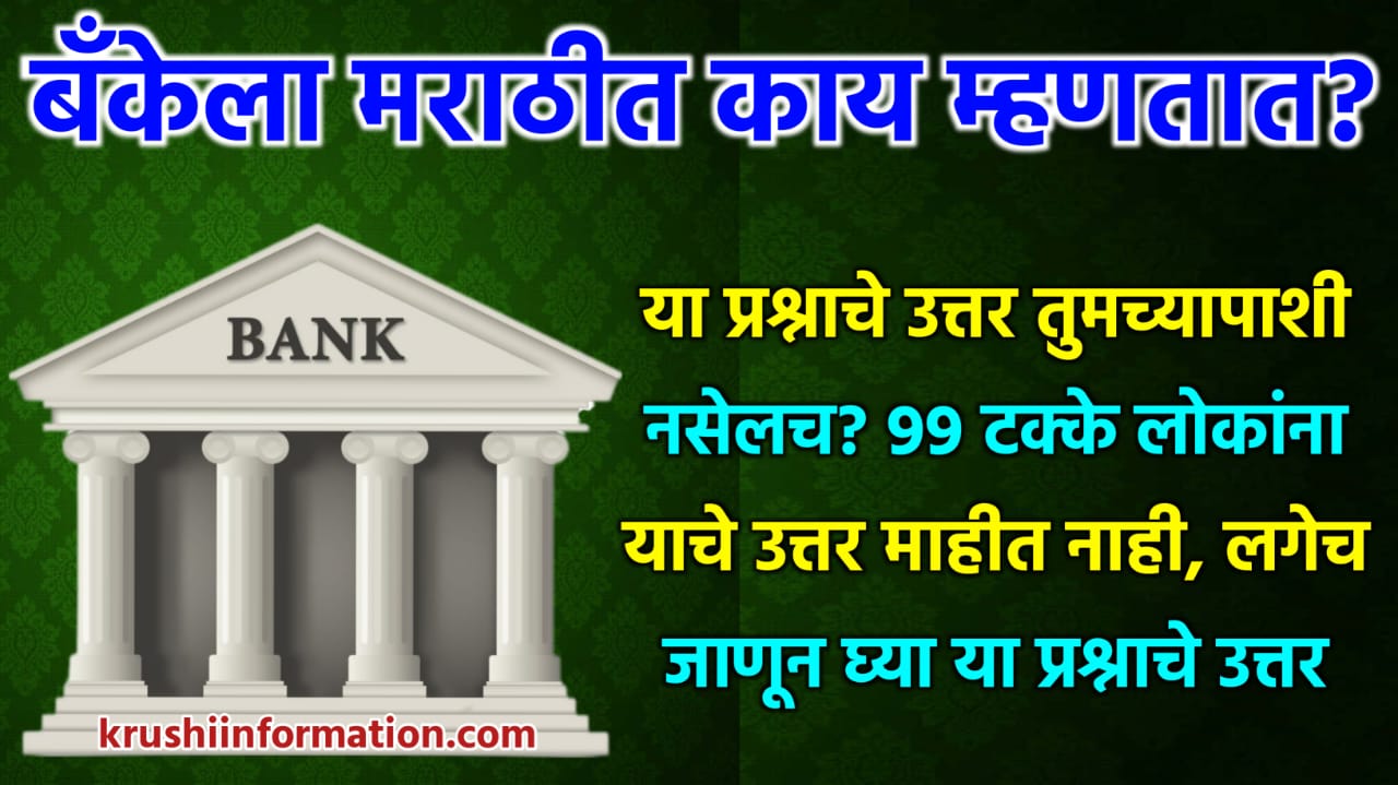 Bank Marathi Name
